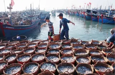 Nghị định về xử phạt vi phạm hành chính trong lĩnh vực thủy sản