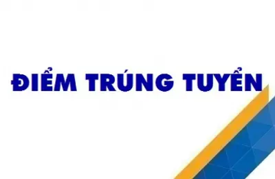 Thông báo Điểm trúng tuyển tuyển sinh bổ sung, thay thế  đại học chính quy tuyển mới năm 2024