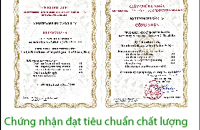Kiểm định chất lượng Trường Đại học
