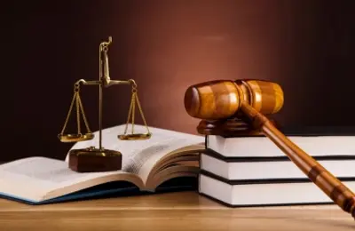 Cơ sở chính trị, pháp lý và cơ sở thực tiễn để xây dựng Luật Dẫn độ